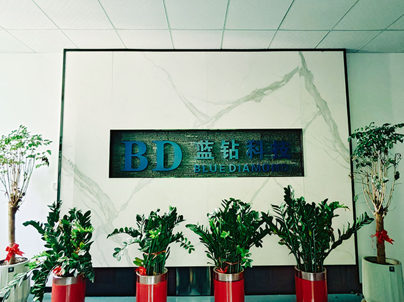 Shenzhen Blue Diamond Technology Co., Ltd.