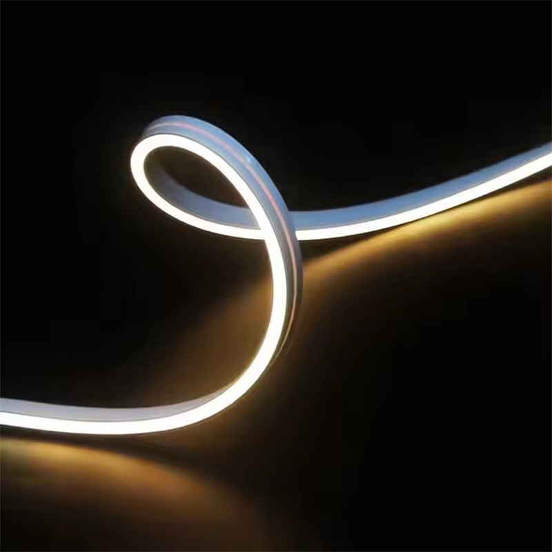 Neon Flex LED Strips 5X10mm